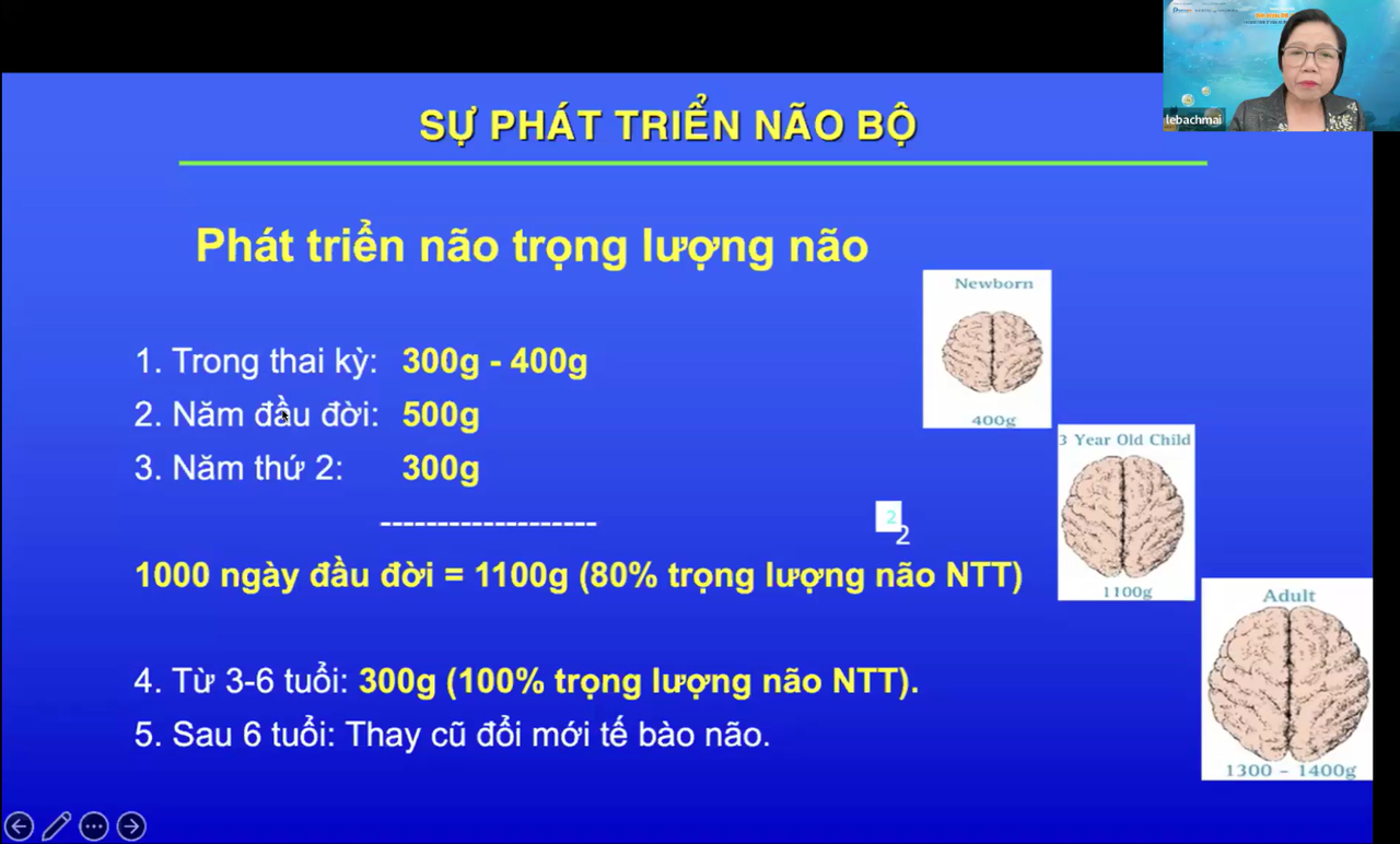 Recap buổi training “Dinh dưỡng DHA, Omega-3 với phát triển trí não và thị lực vượt trội của bé”