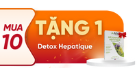 T11_Arko Detox Hepatique mua 10 tặng 1 hộp cùng loại